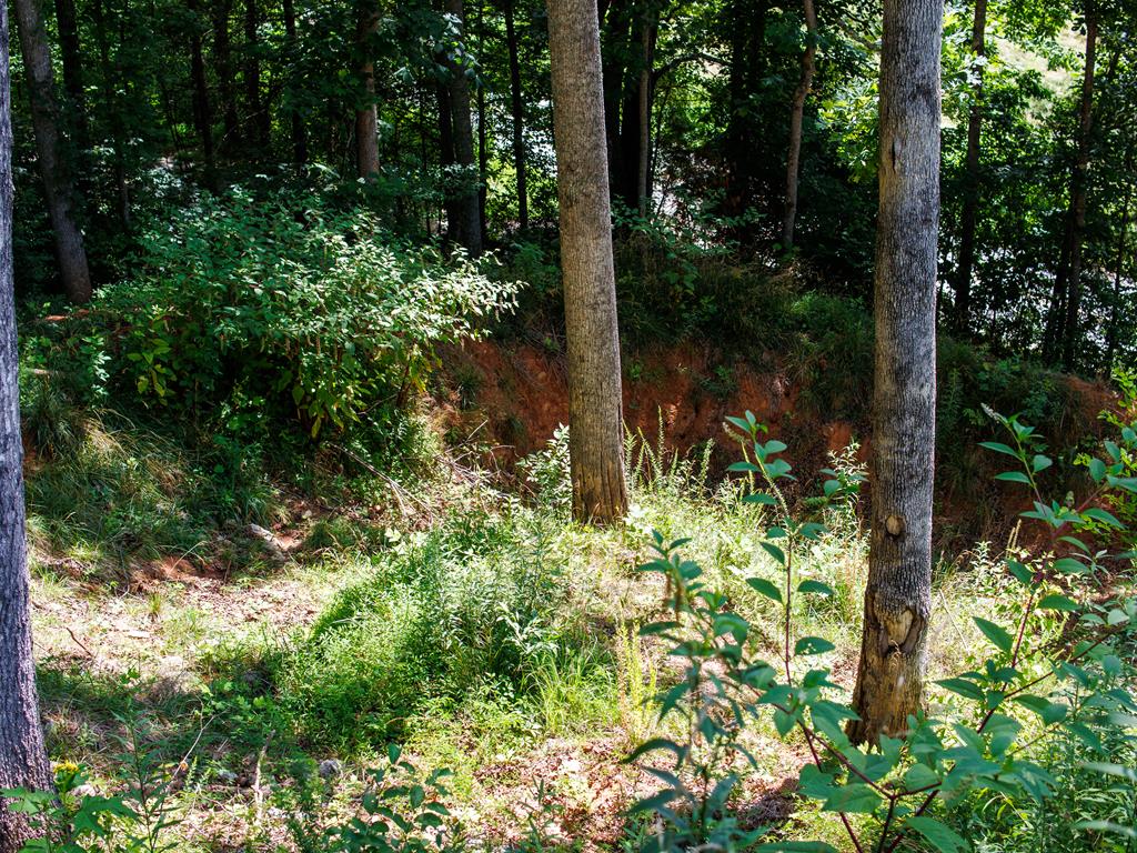 Listing Photo 26041536