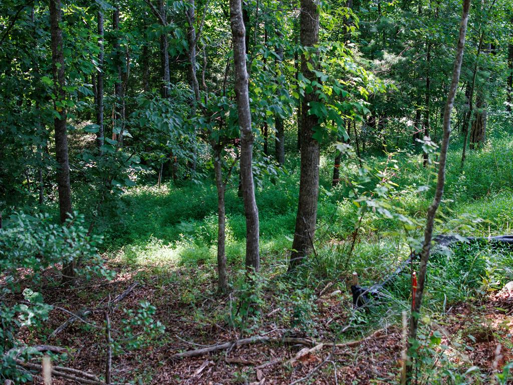 Listing Photo 26041537