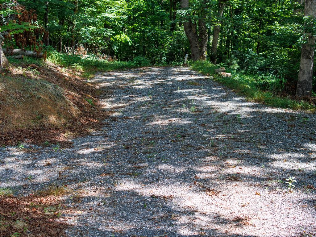 Listing Photo 26041538